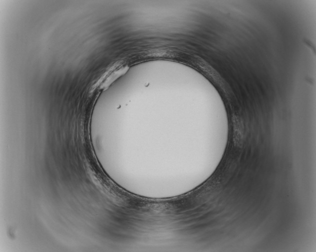 X0000102250482200808221356