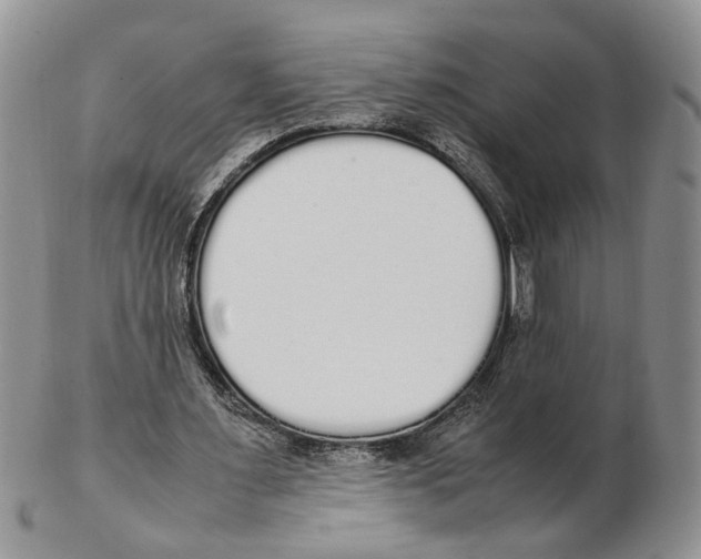 X0000102250483200808221356