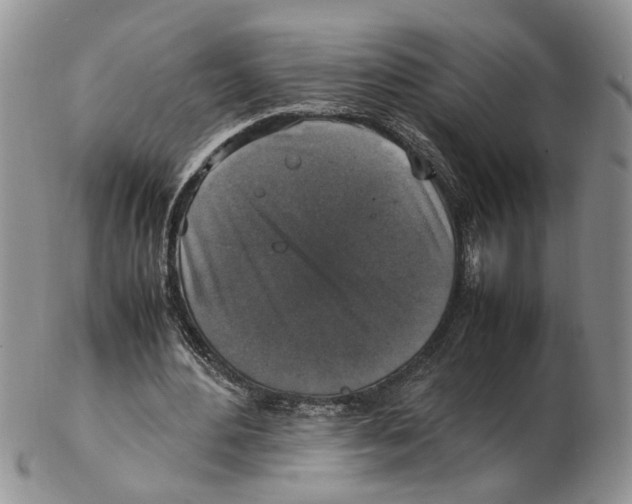 X0000102250484200808221356