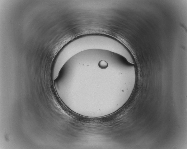 X0000102250485200808221356
