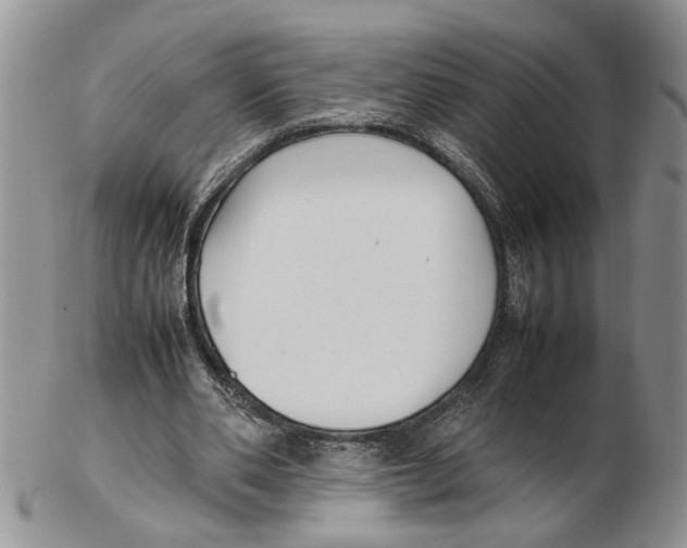 X0000102250486200808221356
