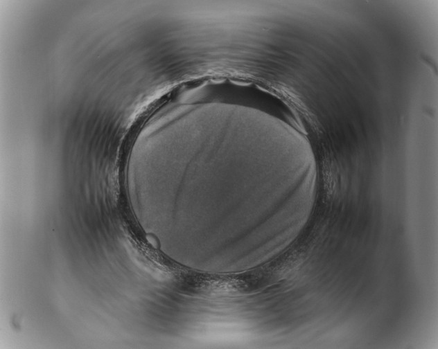 X0000102250488200808221356