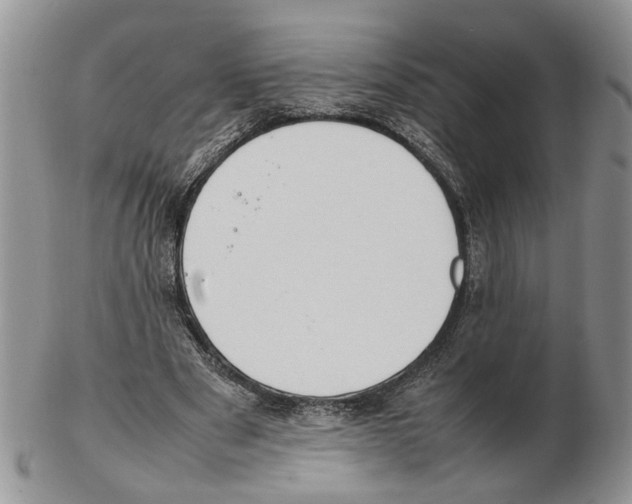 X0000102250489200808221356