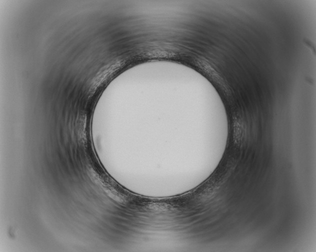 X0000102250490200808221356