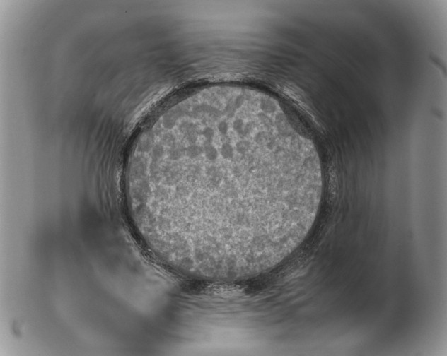 X0000102250491200808221356