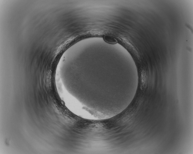 X0000102250492200808221356