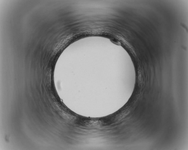 X0000102250493200808221356