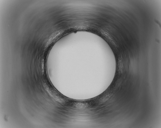 X0000102250494200808221356