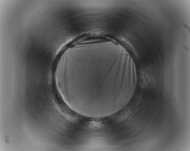 X0000102250496200808221356