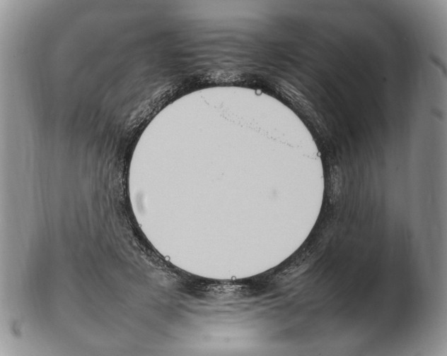 X0000102250497200808221356