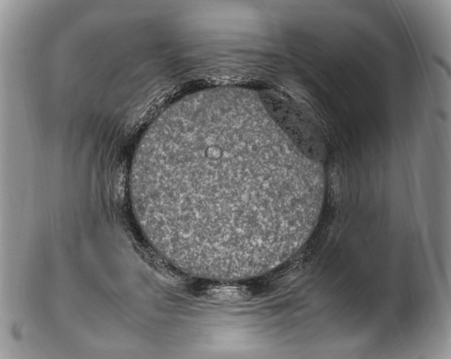X0000102250499200808221356
