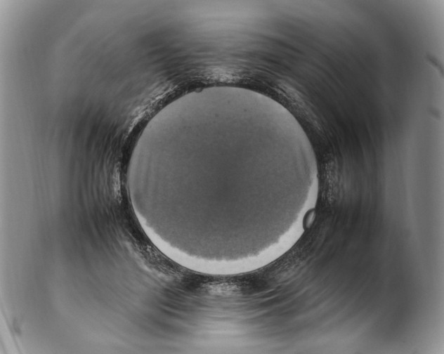 X0000102250500200808221356