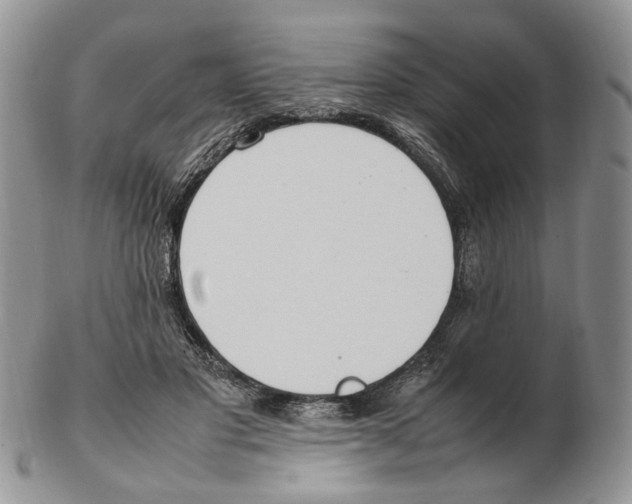 X0000102250501200808221356