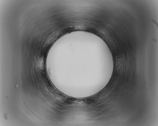 X0000102250502200808221356