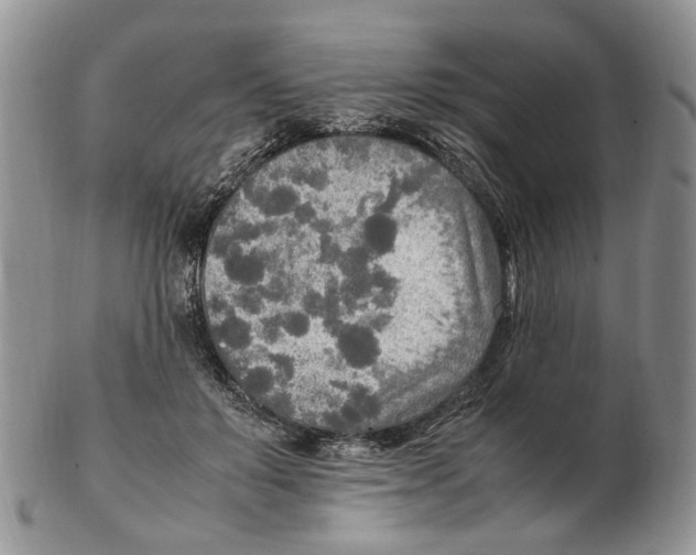X0000102250503200808221356