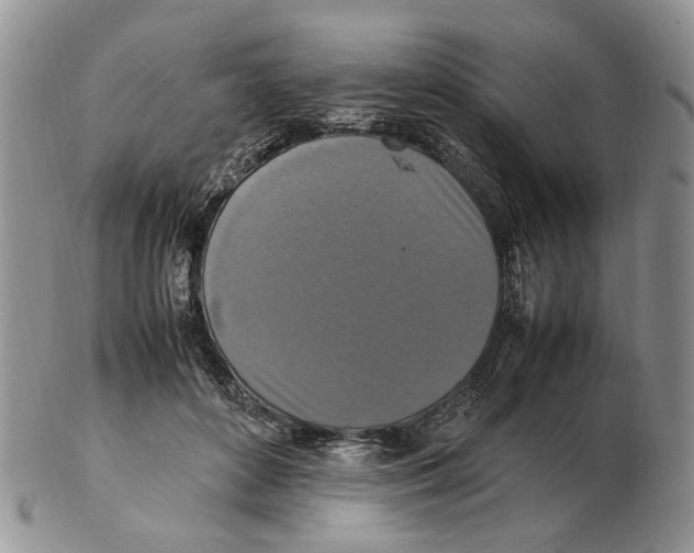 X0000102250504200808221356