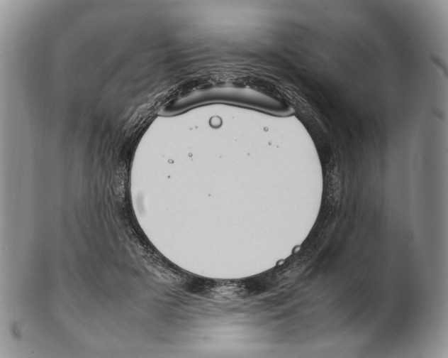 X0000102250505200808221356