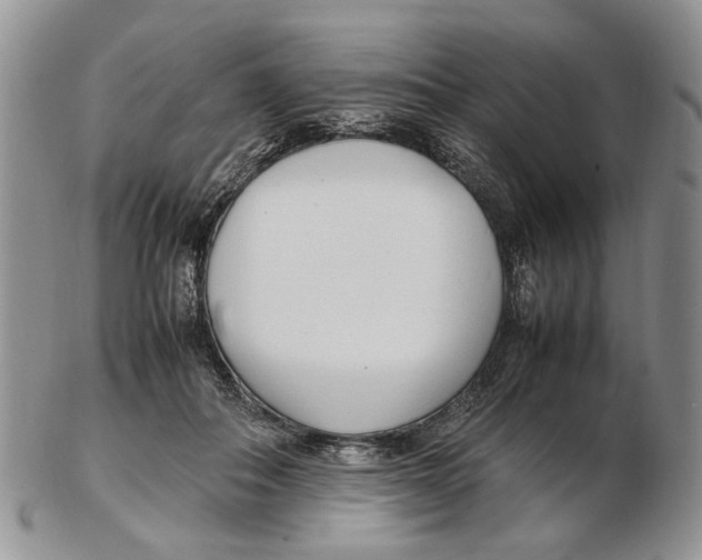 X0000102250506200808221356