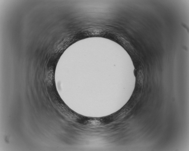 X0000102250509200808221356