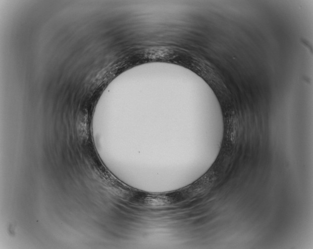 X0000102250510200808221356