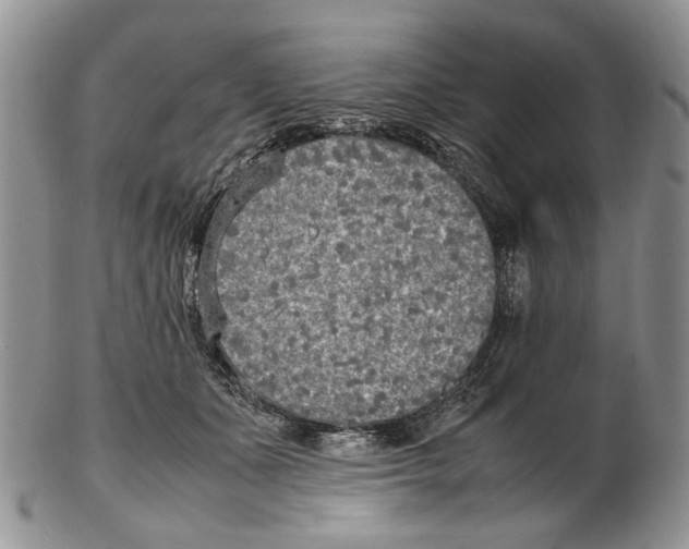 X0000102250511200808221355