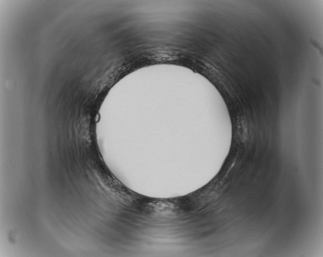X0000102250512200808221355