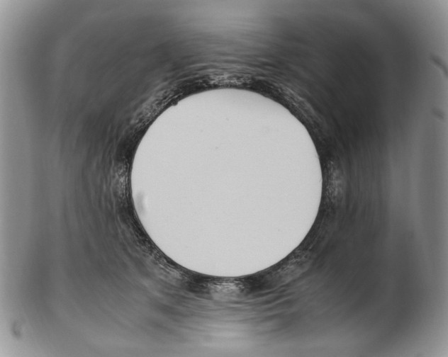 X0000102250513200808221355