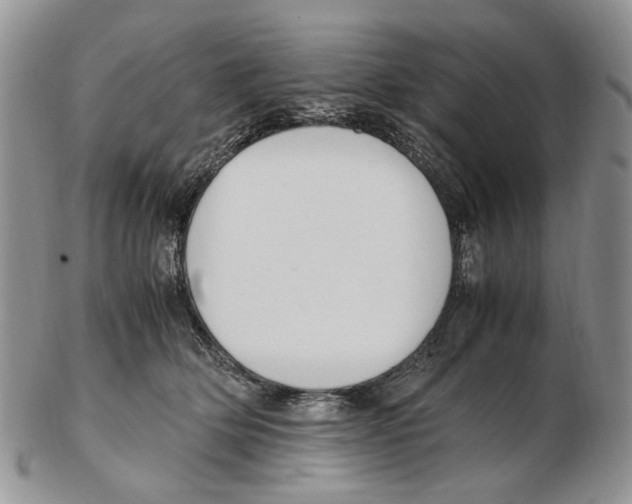 X0000102250514200808221355