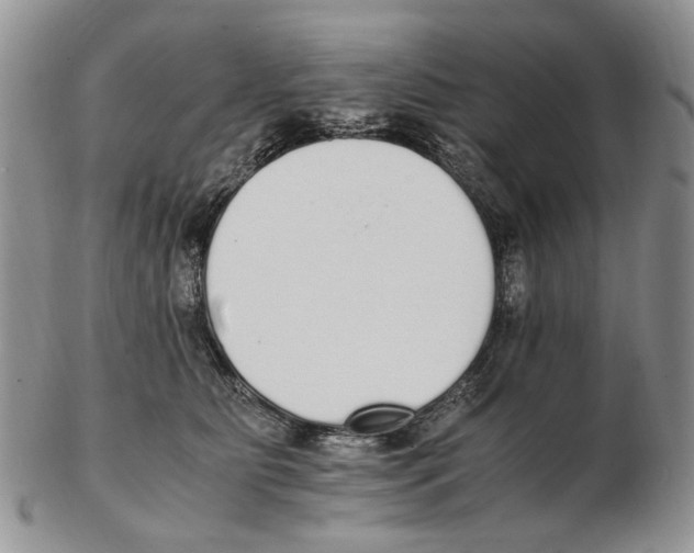 X0000102250515200808221355