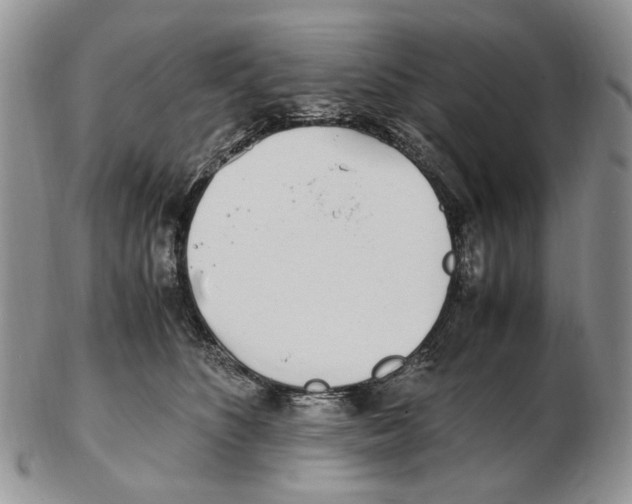 X0000102250516200808221355