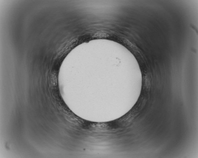 X0000102250517200808221355