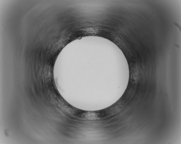 X0000102250518200808221355