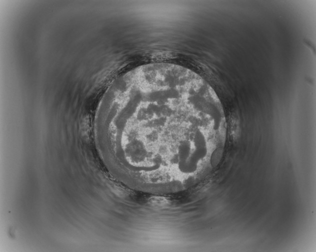 X0000102250519200808221355