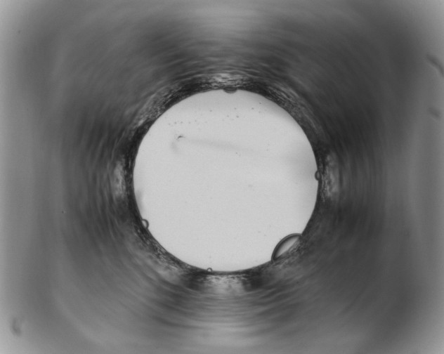 X0000102250520200808221355