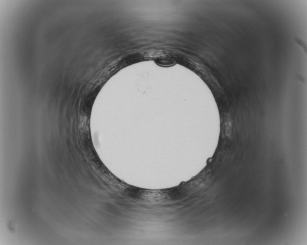 X0000102250521200808221355