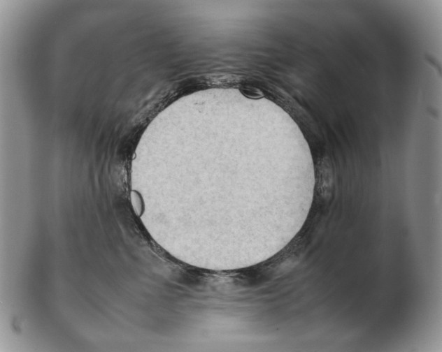 X0000102250523200808221355