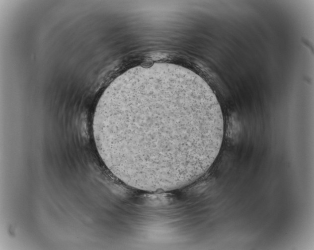 X0000102250524200808221355