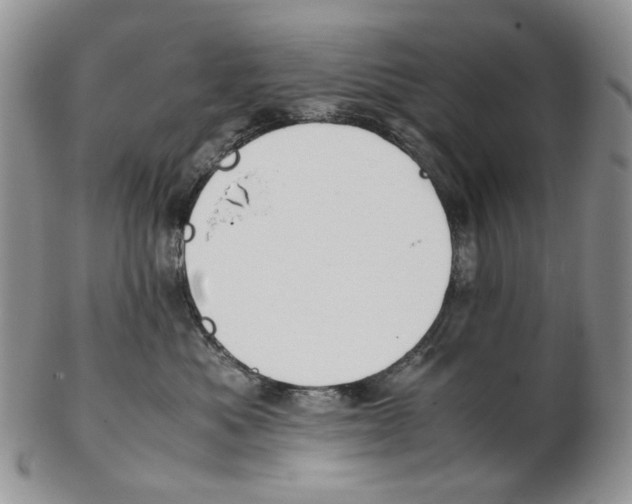 X0000102250525200808221355