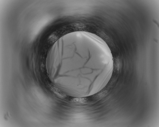 X0000102250526200808221355