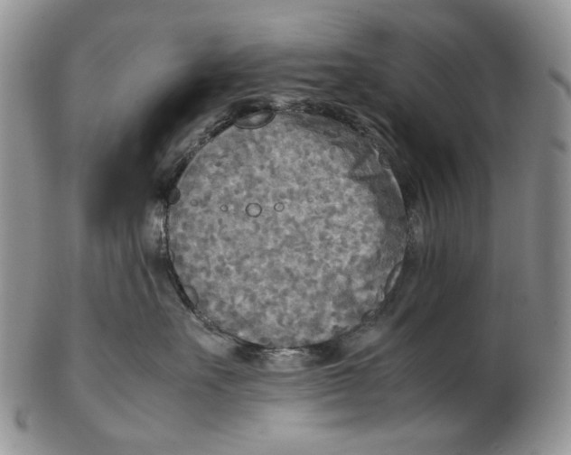 X0000102250527200808221355