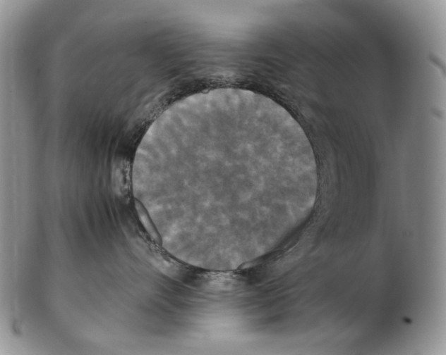 X0000102250528200808221355