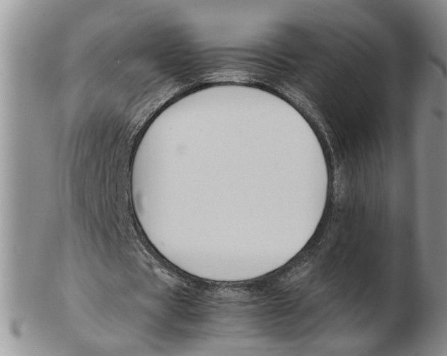 X0000102250529200808221355
