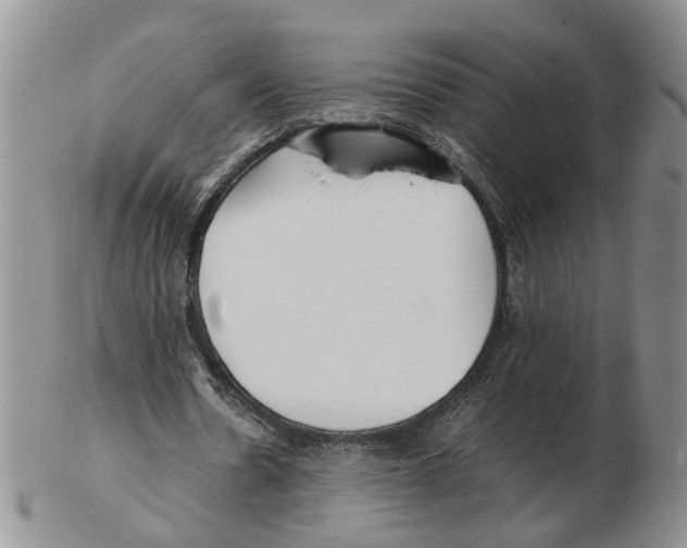 X0000102250530200808221355