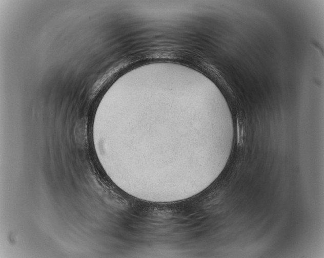 X0000102250531200808221355