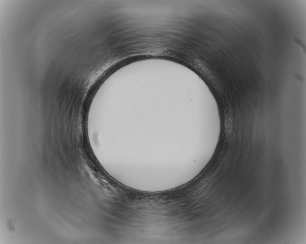 X0000102250532200808221355