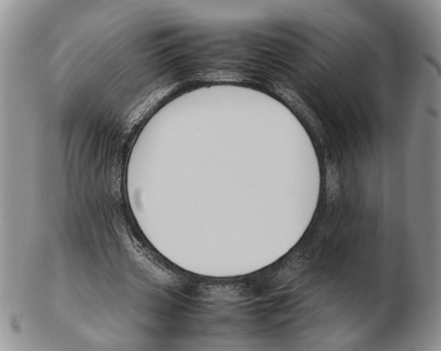 X0000102250533200808221355