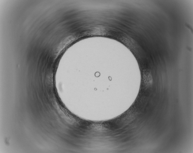 X0000102250534200808221355