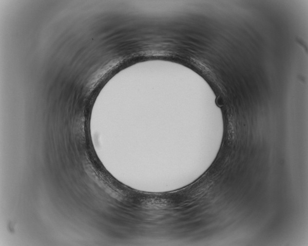 X0000102250535200808221355