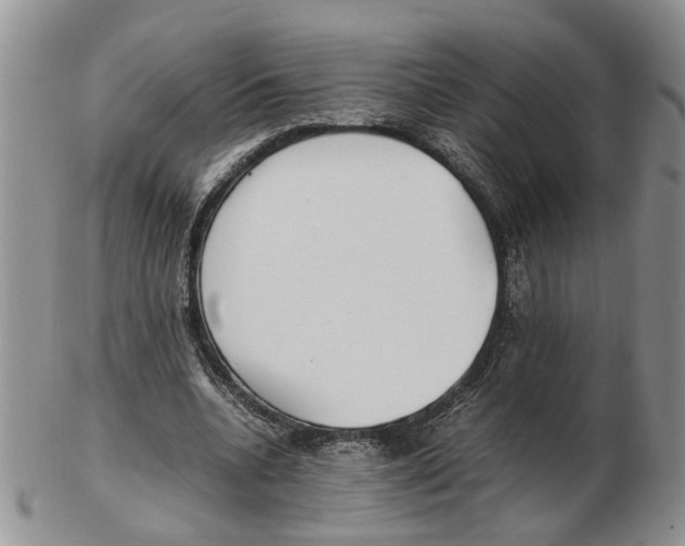 X0000102250536200808221355