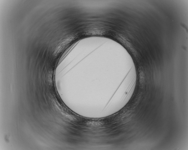 X0000102250537200808221355